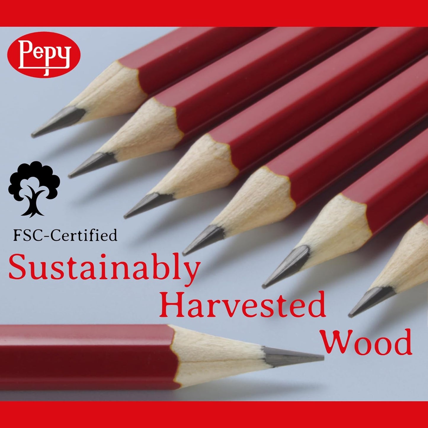 Pepy Graphite Professional Drawing Pencils - Set of 12 6B Pre-Sharpened Black Lead Pencils; Perfect for Drawing, Sketching and Shading, Graphic and Fine Art