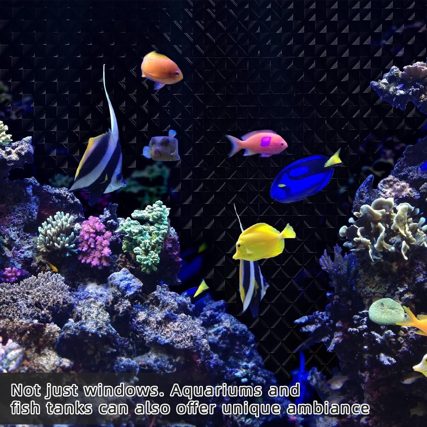 Qualsen Blackout Window Film, ๐๐๐๐ข๐ฌ๐ฎ๐๐ฅ๐๐ฉ๐ฉ๐๐๐ฅ 100% Light Sun Blocking Privacy Film for Glass Windows, Removable No Glue Black Out Window Tint for Home Day Sleep Garage 35.4ร78.7inch