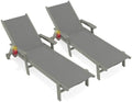AreShark HDPE Patio Chaise Lounge Chair by AreShark
