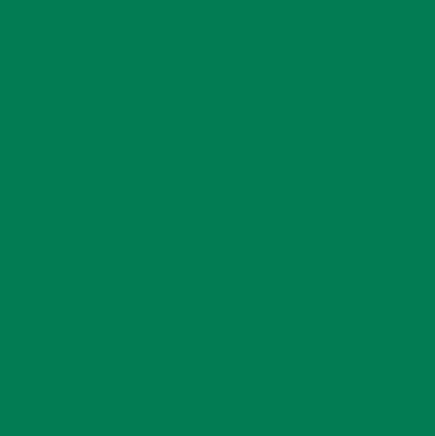 Ant Smart Adhesive Permanent Vinyl Compatible with Cricut Explore and Maker Series Without Cutting Mats, Create DIY Projects, Decals, Stickers & More (Green, 13inch x 30ft)