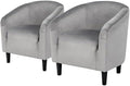 Topeakmart Compact Velvet Accent Chairs Set of 2 by Topeakmart