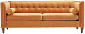 58" Velvet Sofa, 2-Seater Couch by Dreamsir