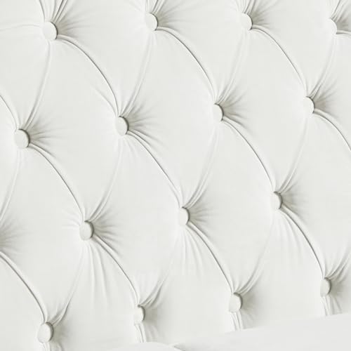 LEVNARY Chesterfield Loveseat Velvet, Upholstered Sofa - Image 5