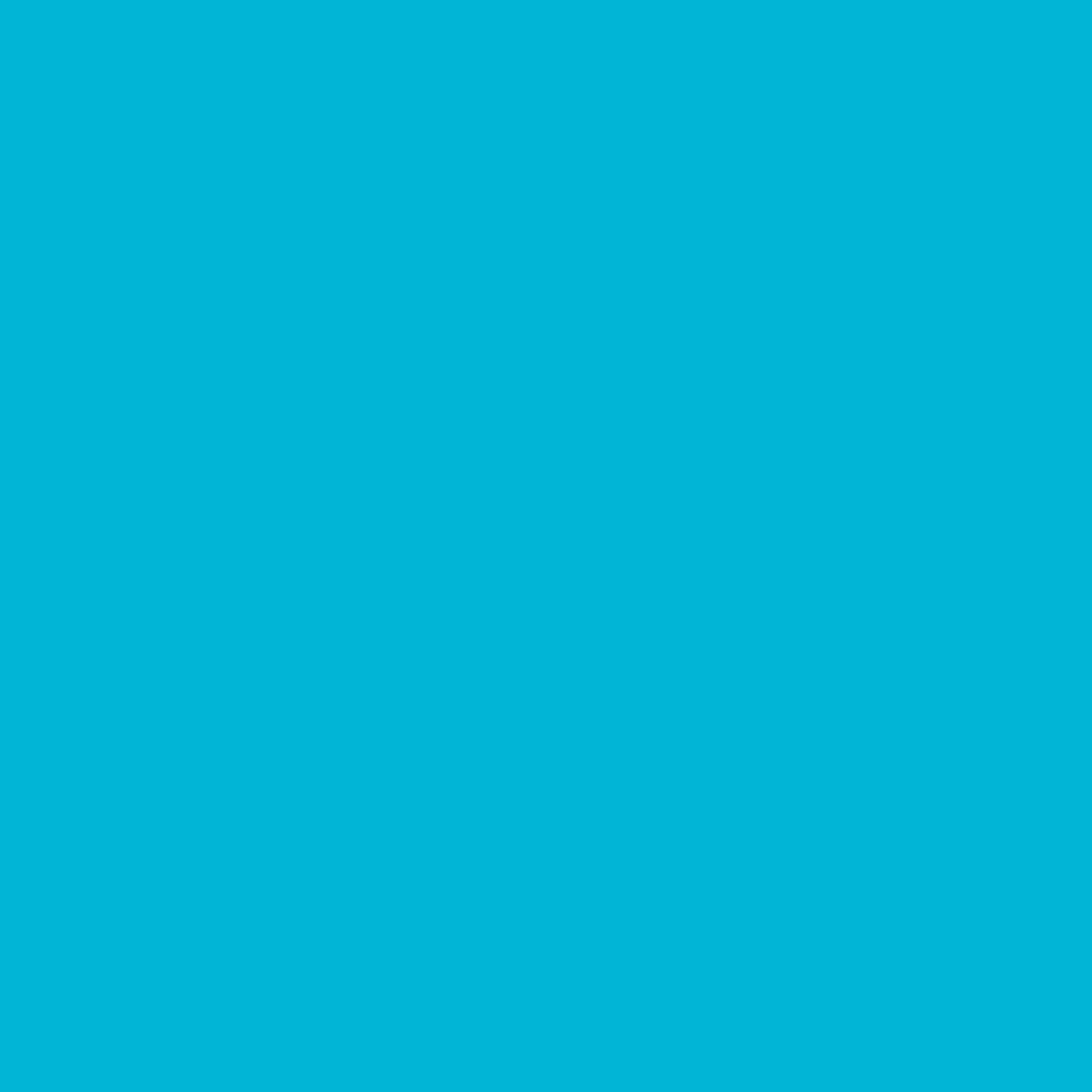 Ant Smart Adhesive Permanent Vinyl Compatible with Cricut Explore and Maker Series Without Cutting Mats, Create DIY Projects, Decals, Stickers & More (Light Blue, 13inch x 50ft)