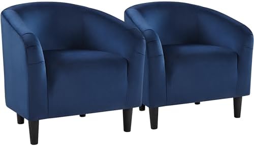 Yaheetech Compact Velvet Accent Chairs Set of 2 by Yaheetech
