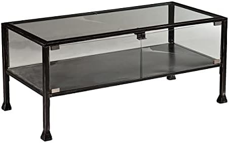 SEI Furniture Metal Terrarium Fish Display Coffee Table by SEIFurniture