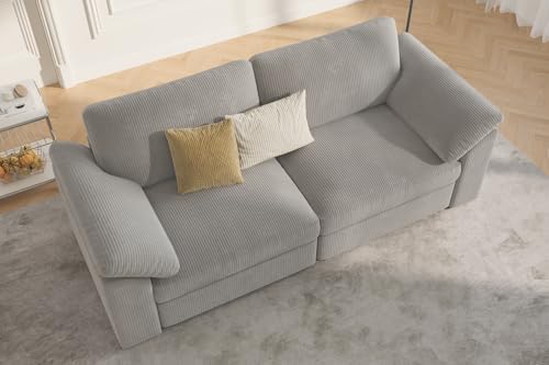 EASE MOOSE Modern Loveseat Couch, 2 Seat Modular Sofa - Image 3