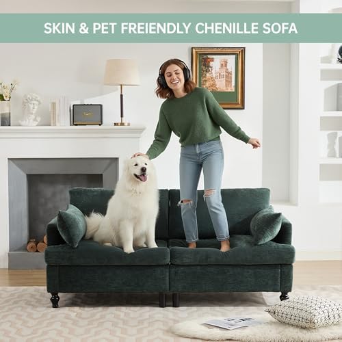 68.9” Loveseat Sofa Couch, Modern Comfy 2 Seat Chenille Couches, Spring - Image 3