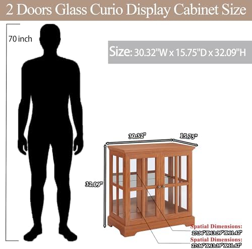 30" Glass Curio Display Storage Cabinet - Image 2
