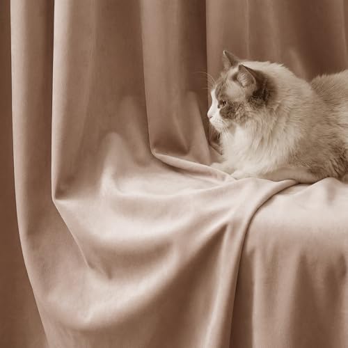 StangH Blush Beige Velvet Curtains - Image 5