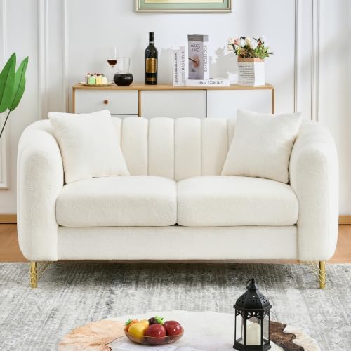 61.5" Oversized Modern Loveseat Sofa, Teddy Tufted Couch by Kolavess