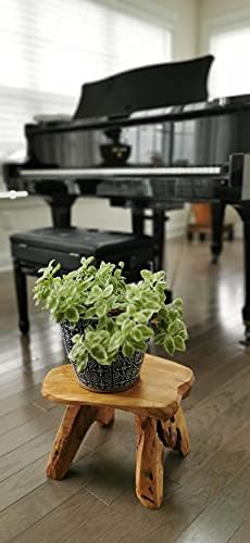 Natural Tree Stump Stool Live Edge Cedar Wood Plant Stand, Garden Bench - Image 5