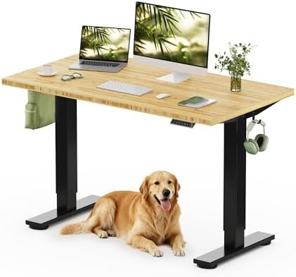 FLEXISPOT 48" x 24" Solid Bamboo Standing Desk by Unknown