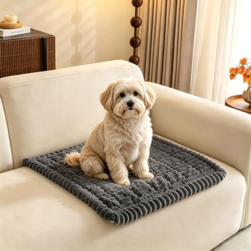 Pet Couch Covers Protector for Dogs Sofa Slipcovers Washable Cushion Cover by GumfolkBrandFlagship