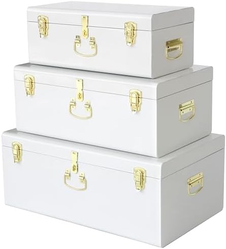 Vixdonos Decorative Box Set of 3 Metal Trunks Chest by Vixdonos