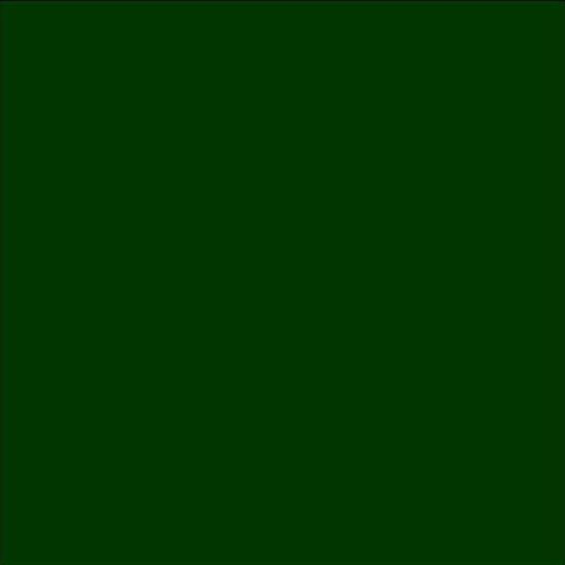 Chalkboard Blackboard Paint - Brush on Wood, Metal, Glass, Wall, Plaster Boards Sign, Frame or Any Surface. Use with Chalk Pen Wet Erase, Non-Toxic - Matte Finish [Green] - (8.5oz Cover 32 sf)