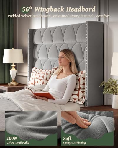 OHOHOLIVE Queen Size Bed Frame - Image 5