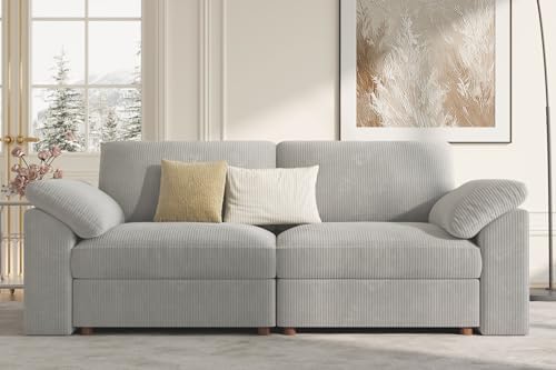 EASE MOOSE Modern Loveseat Couch, 2 Seat Modular Sofa by EASEMOOSE