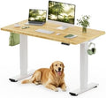 FLEXISPOT 48" x 24" Solid Bamboo Standing Desk by Unknown