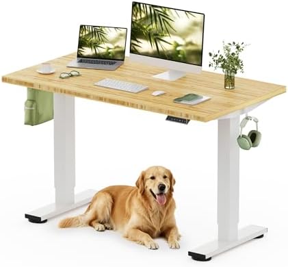 FLEXISPOT 48" x 24" Solid Bamboo Standing Desk by Unknown