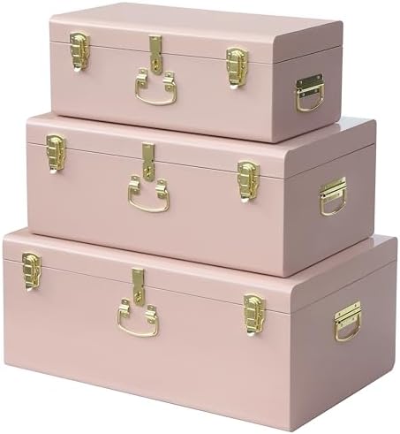 Vixdonos Decorative Box Set of 3 Metal Trunks Chest by Vixdonos