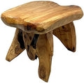 Natural Tree Stump Stool Live Edge Cedar Wood Plant Stand, Garden Bench by THYTrading