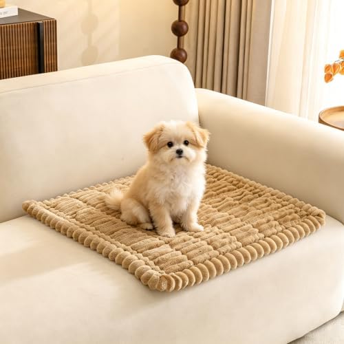 Pet Couch Covers Protector for Dogs Sofa Slipcovers Washable Cushion Cover by GumfolkBrandFlagship