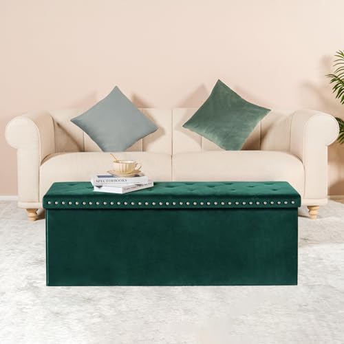 PINPLUS Folding Storage Ottoman Bench - Image 2