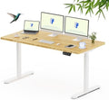 FLEXISPOT 60" x 30" Solid Bamboo Standing Desk by Unknown