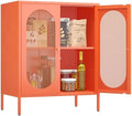 2 Door Accent Cabinet, Metal Storage Cabinet by Fumedo