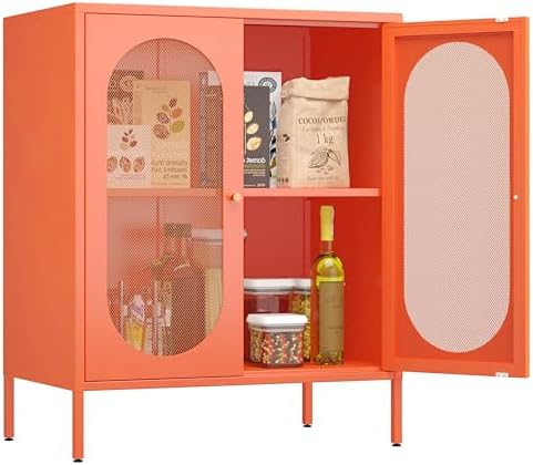 2 Door Accent Cabinet, Metal Storage Cabinet by Fumedo