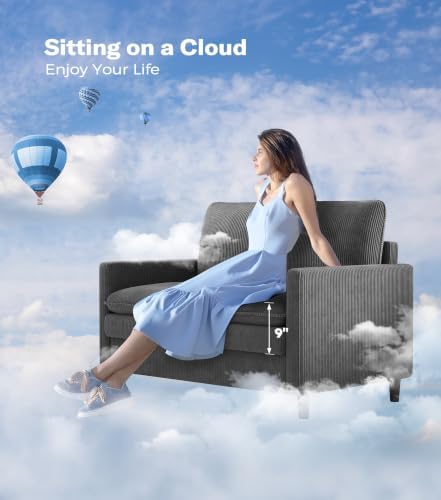 Welzona 3-Layers Cloud Loveseat Sofa, Small Sofa - Image 6