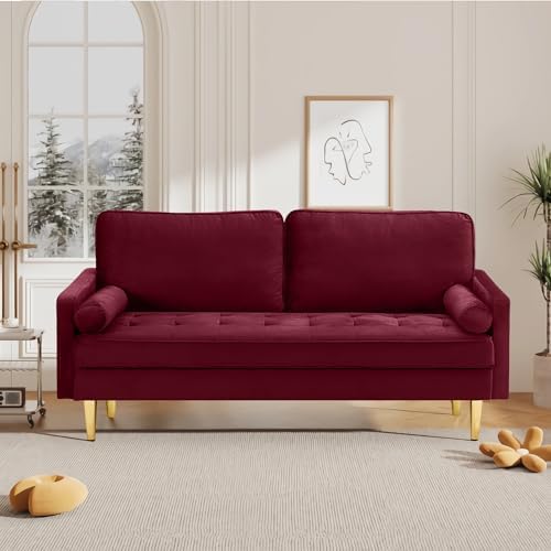 67" Modern Velvet Loveseat Sofa Couch, Mid-Century Tufted Upholstered Small by RXRRXY