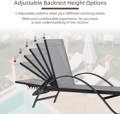 Shintenchi Patio Chaise Lounge Set of 2, Pool Chaise Lounge - Image 5