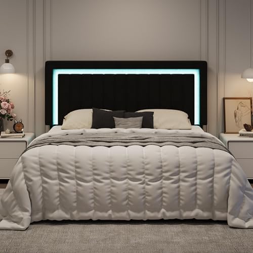 SHA CERLIN King Size Velvet Bed Frame by SHACERLIN