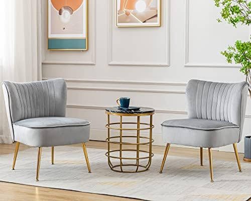 Grey Velvet Accent Chair Set of 2 by Janoray