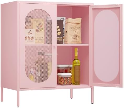 2 Door Accent Cabinet, Metal Storage Cabinet by Fumedo