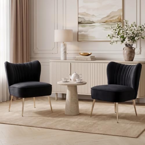 Black Velvet Accent Chair Set of 2 by Janoray