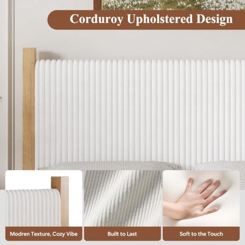 IMMERSTABLE King Bed Frame - Image 3