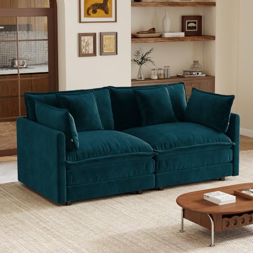 Tmsan 70.8" Loveseat Sofa 2 Seater Cloud Sectional Couch, Small Love Seat by TmsanHomeKitchen