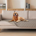 gogobunny Waterproof Dog Blanket, Couch Covers by gogobunny