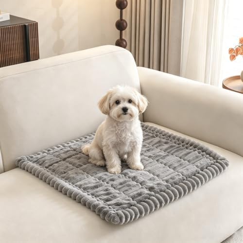 Pet Couch Covers Protector for Dogs Sofa Slipcovers Washable Cushion Cover by GumfolkBrandFlagship