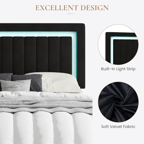 SHA CERLIN Queen Size Velvet Bed Frame - Image 5