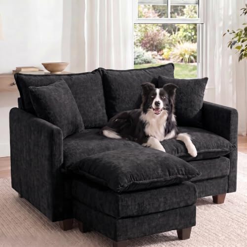 2-Seater Loveseat Sofa with Ottoman, Pet-Friendly Chenille, Washable Pillows by Unknown