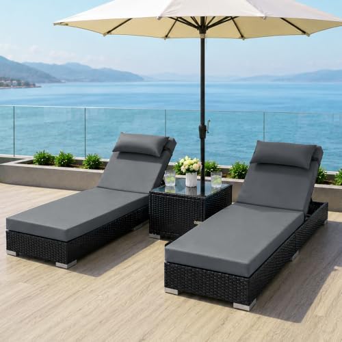 Outdoor Chaise Lounge Chairs Set of 2 by ANSCHAUNOutdoors