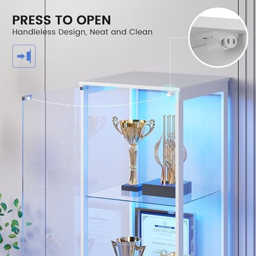 TAGELIER 65" Tall Glass Display Cabinet - Image 5