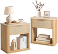 Night Stand Set of 2, Rattan Nightstand by LogMith