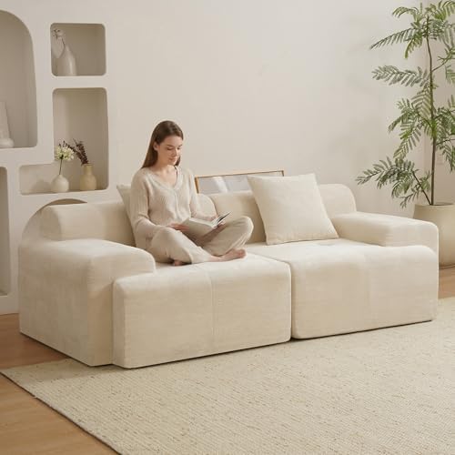 84" Modular Loveseat Couch by Mifnas