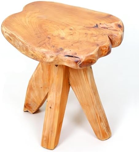 Brefhome 14.5" Tall Natural Cedar Wood Stool, Unique Tree Stump End Table by Unknown