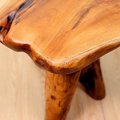 Brefhome 14.5" Tall Cedar Tree Stump Stool, Natural Wood Stump Side Table - Image 5